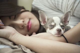 Ralaxation concept. Beautiful woman sleeping with her cute dog on bed in lazy Sunday.