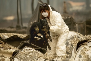 Záchranárka vyťahuje psa počas mohutného lesného požiaru.