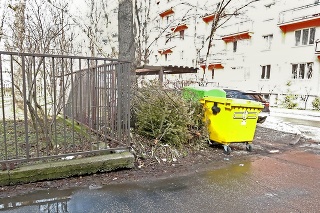 Sklenárova ulica - Kopy stromčekov boli na Valentína aj v Ružinove. na aj v Ružinove.