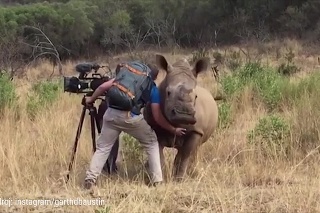 Nezabudnuteľné stretnutie filmára s nosorožcom: Sledujte, čo mu divoké zviera dovolilo