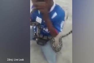 Hrôzostrašné video: Muž zle zaobchádzal s nebezpečným hadom, doplatil na to brutálnym spôsobom