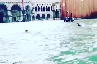 obrazok k videu 18389: Benátky takmer celé pod vodou: Na námestiach a v uliciach mohli obyvatelia plávať!