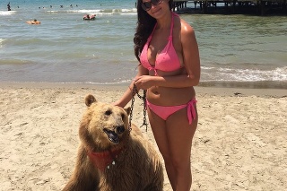 Takýto záber sa môže podariť len v Albánsku! Dovolenková inšpektorka na pláži s medvedicou.