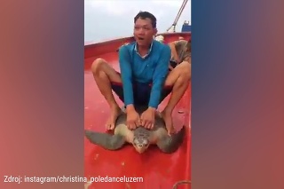 Otrasné video z rybárskej lode: Uvidíte, ako sa muž správal ku korytnačke, a budete chcieť čo najskôr zabudnúť!