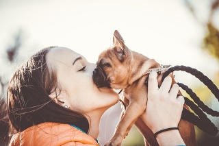 Young woman dog owner playing with her pet dog, French Bulldog, puppy, new family member, domestic animals outdoors