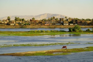 Nile River side of the pastoral scenery