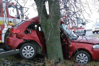 Audina narazila do stromu, mladá vodička († 31) zraneniam podľahla. 