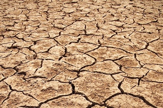 Extrémne horúčavy a sucho ničia krajinu.
