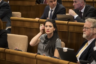 Poslankyni Jane Cigánikovej hrozí pokuta do 60 000 eur. 