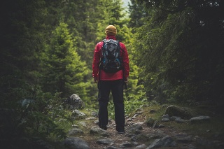 Traveler with backpack stands alone on a footpath in forest.