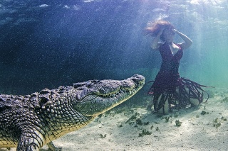 V lagúne, kde fotili, žije asi 500 krokodílov. Vždy tak bol nejaký po ruke.