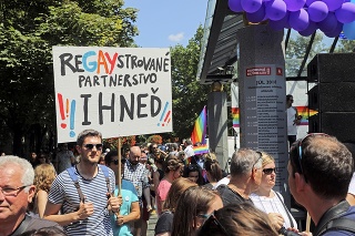 Slovensko je jednou z posledných krajín EÚ, ktoré nemá upravené práva homosexuálov.