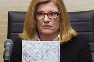 Ministerka pôdohospodárstva Gabriela Matečná