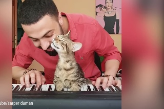 Toto video vám zaručene zdvihne náladu: Muzikant hrá na klavíri v spoločnosti prítulnej mačky