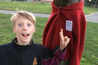 Zadarmo zo stromu je heslo projektu 10-ročného Olivera. 