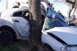 V tomto aute narazila Erika (32) do stromu. 