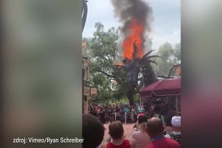 Nehoda v Disney Worlde: Pozrite si, ako TENTO drak vydesil návštevníkov zábavného parku!