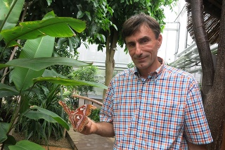 Robert Gregorek z botanickej záhrady ukazuje motýlieo obra.