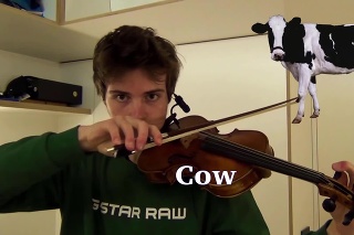 Skrytý talent: TENTO mladík iba pomocou huslí dokáže napodobniť zvuky najrôznejších zvierat!