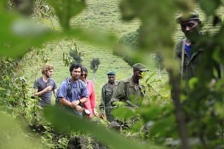 Britským turistom sa výlet v konžskom národnom parku Virunga stal osudným (ilustračné foto).