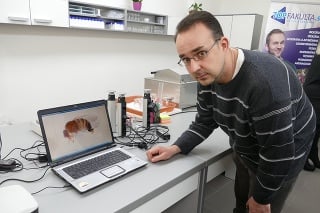 Jozef Oboňa skúma muchy na Prešovskej univerzite.