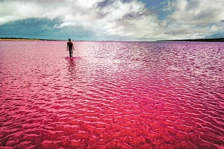 Fotogenické: Turisti túžia po fotke v slanom jazere Hillier, ktoré ohuruje svojou cukríkovou farbou.