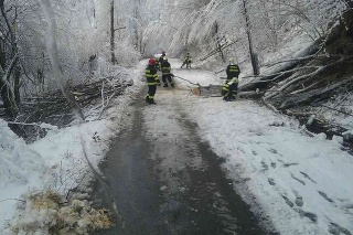 Popadané stromy z viacerých úsekov ciest na východnom Slovensku pomáhali odstraňoval hasiči.  
