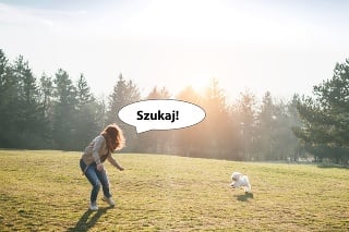 Poznáte poľské slová?