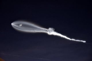 Štart rakety Falcon 9 vytvoril na oblohe jedinečný úkaz.