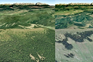 2006 - 2017: Národný park v Nízkych Tatrách je v niektorých častiach úplne bez drevín.