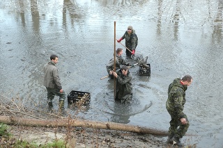 Stupavskí rybári vylovili rybník po 25 rokoch.