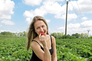 Študentka Kristína (18) si vychutnáva jahody pri samozbere.