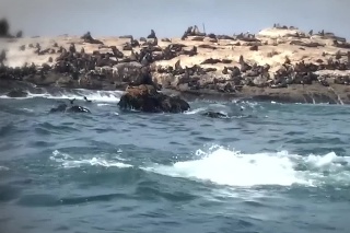 Turisti sa v člne vybrali pozorovať ostrov s tuleňmi.