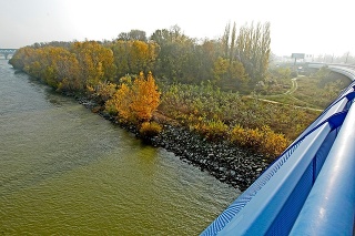 Soví les sa rozprestiera medzi prístavným mostom a Mostom Apollo na petržalskej strane Dunaja. 