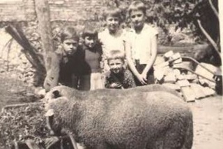 1972: Keby Adriana nemala túto fotky deti by jej neverili, že chovali ovce.