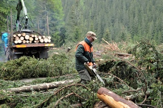 Popadané stromy zaterasili horský priechod Čertovica.