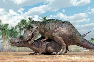 Kresba znázorňuje pravdepodobný spôsob párenia dinosaurov
