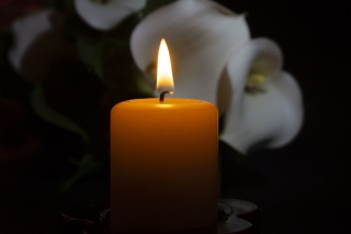 A close up of an orange candle and flame and lily flowers on a dark background.