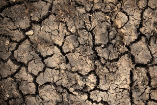 Thuringia, Germany: Cracks in the dry ground of a field.