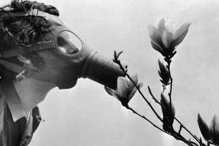 Apríl 1970: Študent v plynovej maske vonia kvet magnólie počas Dňa Zeme v New Yorku.