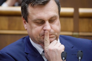 Predseda SNS Andrej Danko. 