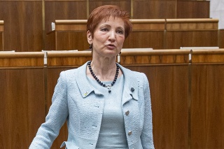 Poslankyňa Jarmila Halgašová (SaS)