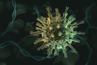 Single Coronavirus cell with DNA strands and white blood cells