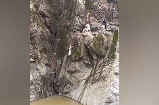 Toto video vás chytí za srdce: Muž chcel zachrániť holuba, podstúpil riskantný krok