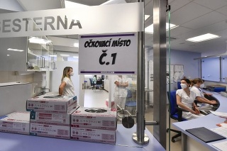 V Česku pre nedostatok vakcín odporučili prerušiť očkovanie proti koronavírusu.