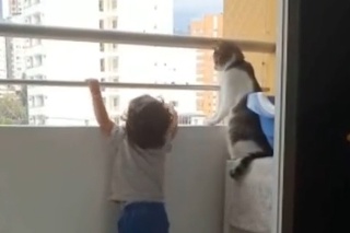 Mačka ochranárka! Rozkošné, ako dozerala na dieťa na balkóne: Odtiaľto ruky preč