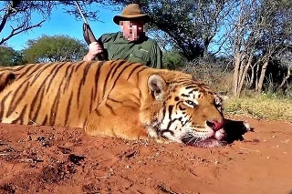 Ján K. zastrelil tigra bez povolenia.
