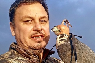 Samica trojročného sokola sťahovavého Ladislava Molnára (47), s ktorou chodí pravidelne loviť.