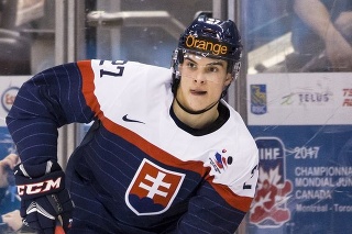 Bývalý slovenský hokejista Filip Lešťan (23).