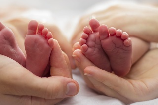 Portrait showing parents' hands and babies' feet.